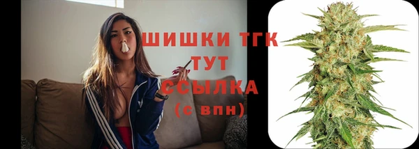 дмт Абаза