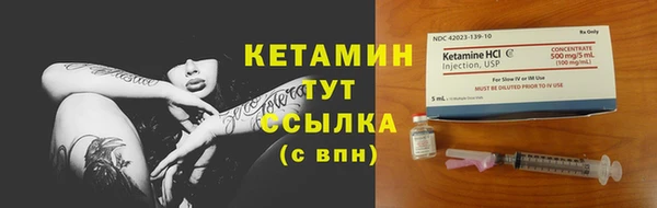 дмт Абаза
