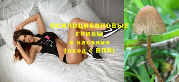 дмт Абаза